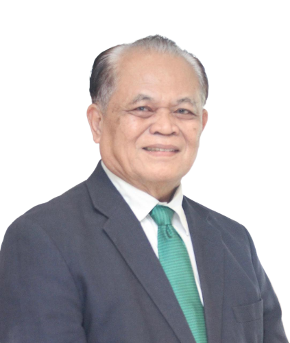 Herman Darnel Ibrahim, Chair of Expert Board – METI