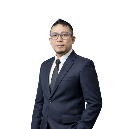 Hokkop Situngkir, Vice President III – METI